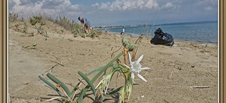 The Results from AKTI’s Summer 2016 Beach Cleanup Campaign in Politis Newspaper