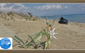 MarLitCy: Marine Litter – Together for Clean Coasts!