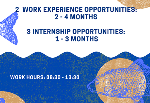 ARGONAFTIS – New Call for Work Experience/Internship Applications