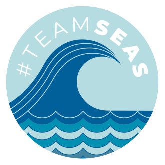 We have joined the #TeamSeas initiative!