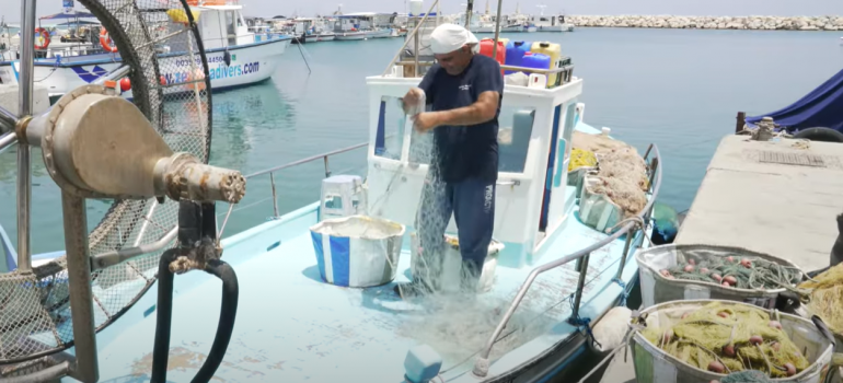 SEALIVE Fishing Nets Technical Meeting in Cyprus